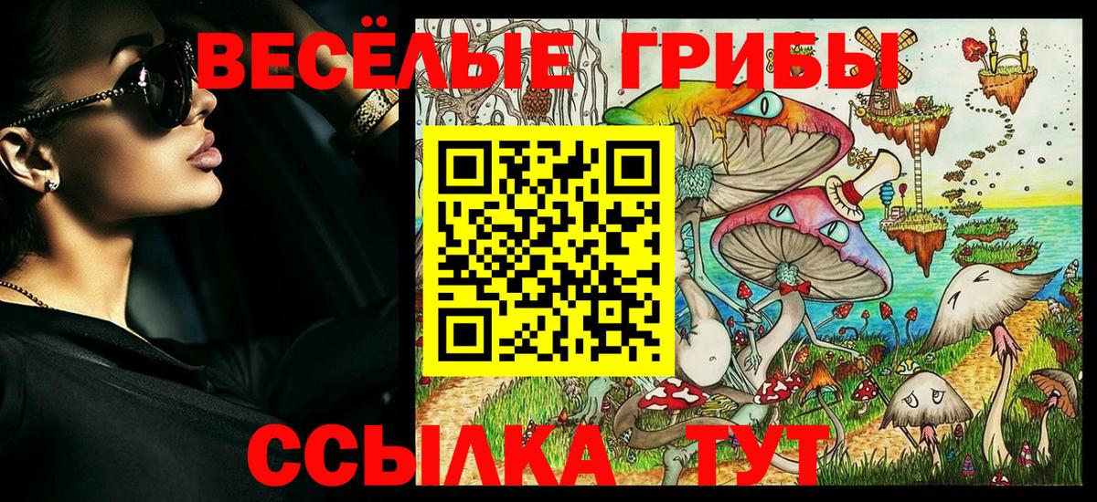 Псилоцибиновые грибы прущие грибы  Вход с VPN  Псилоцибиновые грибы Magic Shrooms  Ирбит 